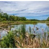 Donau Auen Nemzeti Park