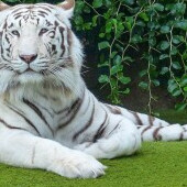 Zoo Liberec