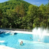 Kúpalisko a wellness Zelená žaba
