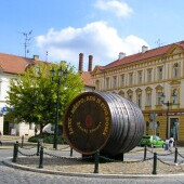 Město Žatec