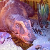 DinoPark Plaza Liberec