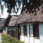 Vasi Skanzen