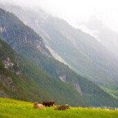 Zillertal-Alpok