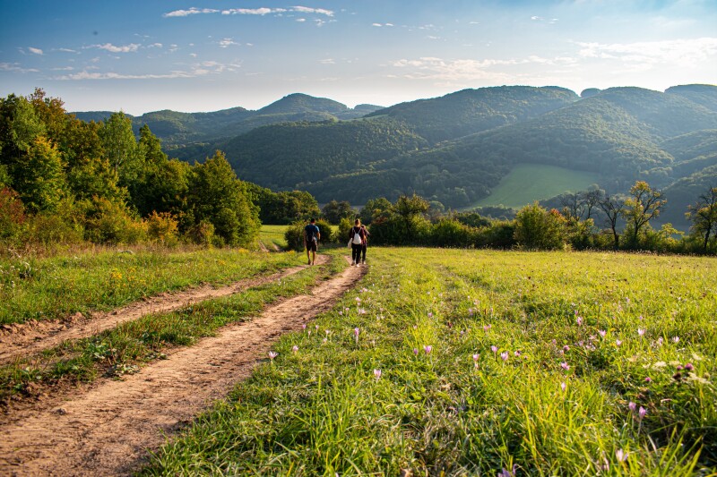 Mountains of Vokalia and Consonantia
