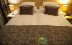 Hotel Astoria Bled *** superior - Nikol Chrástová, Április 2023