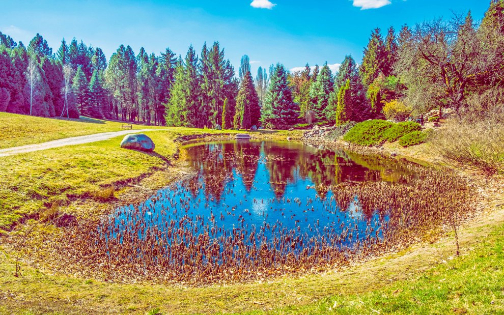 Arborétum Mlyňany