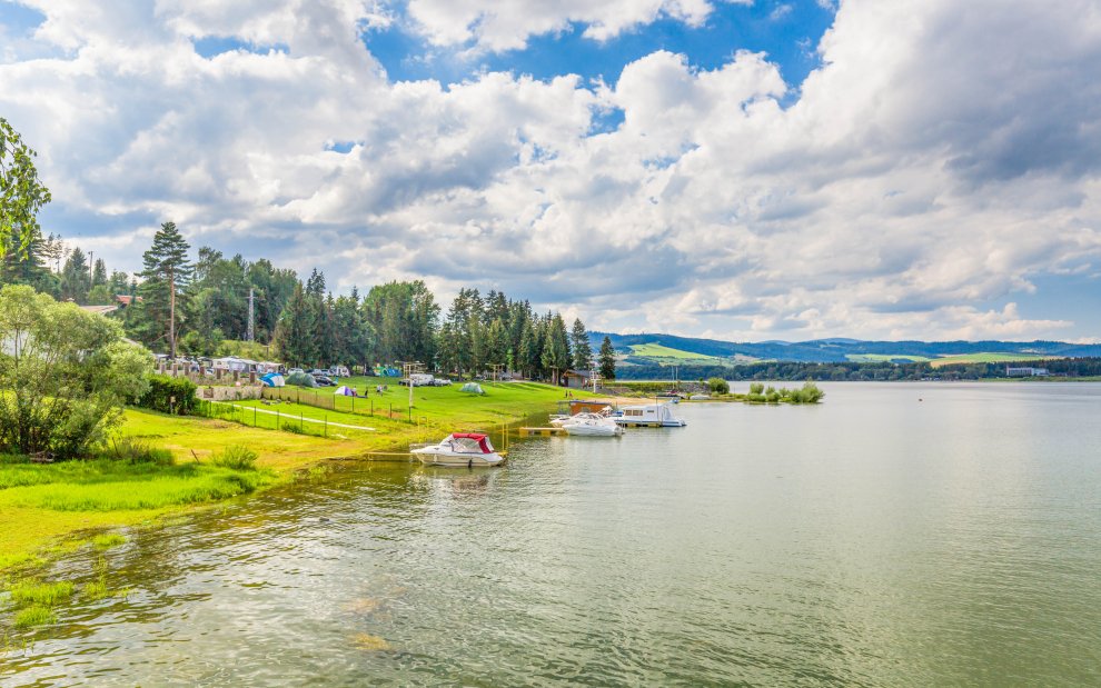 Orava