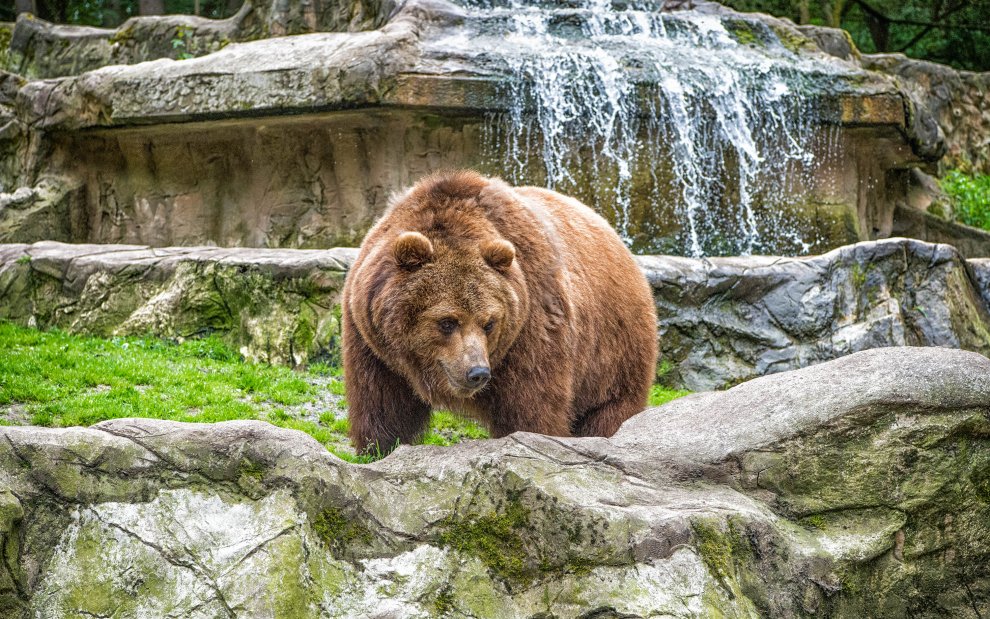 Zoo Spiš