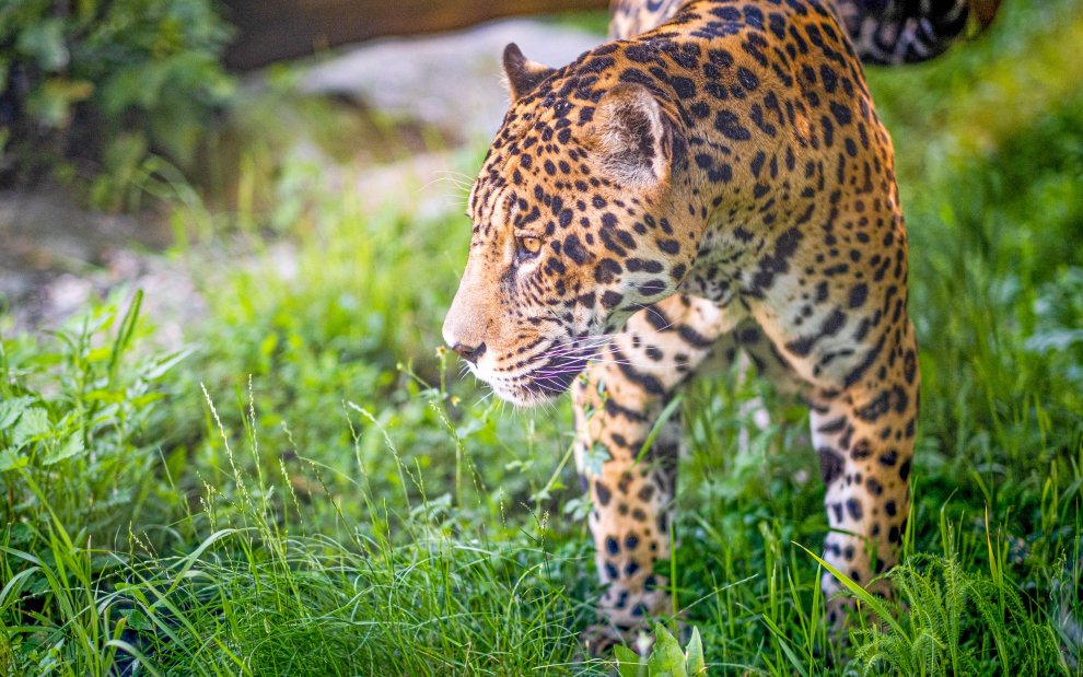 Zoo Bratislava
