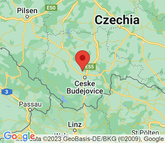 Hotel Záviš z Falkenštejna ****